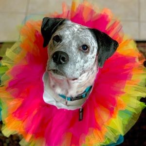 Meet your Posher, Richard